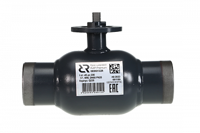 065N0162GR RJIP Premium Кран шаровой WW DN250 PN25 GF (приварной, под привод, С/П), Ридан